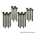 Land Rover Discovery 1 Defender RRC 200TDI Head Bolt Set DA2008