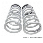 Land Rover Defender 110 Rear Springs TF034