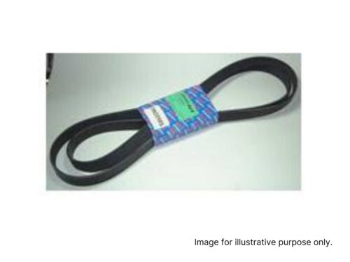 Land Rover Discovery 1 RRC V8 Serpentine Belt ERR4623