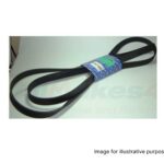 Land Rover Discovery 2 V8 4.0L DAYCO Drive Belt ERR6898
