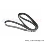 Land Rover Discovery 3 TD6 2.7 Dayco Drive Belt PQS500370