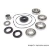 Land Rover Freelander 2 Diff Rebuild Kit EACFDK006