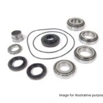Land Rover Freelander 2 Diff Rebuild Kit EACFDK006